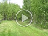 MVI 1639  Video langs indkørsel..Juni..vi øver det med at få ham langt nok ud og samle op.. går fint når der ikke skal ledes for meget