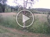 VIDO0095  Video Juli..den (/!"#%¤# KANIN (som, kaptajn Haddock siger)..HAppy kan jo/vil jo når det er hans kanin /den han kender.. hvorfor vil han så ik' til prøve?