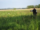 IMG 1706  Jørgen dirigerer Kyon ud..Kyon vandt senere Gilmosegård Apportprøven/  ESK