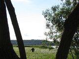 IMG 1730  Mere vandhund