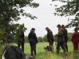 IMG 2625  Unghunde på vej op mod os ved Jans gård.. dernæst slippes 1st hold ÅK på græs /hegn umiddlebart i front og TV