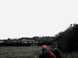 IMG 2627  En Breton presser høne op .i læhegn længere nede .. syens dog ikke på billede. Dommer Sv Åge holder øje