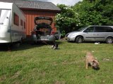 IMG 1767  Vi har klemt os ind i mellem to campere ..Siggen skal også lidt ud