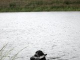 IMG 1738  Helt op med den
