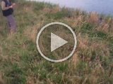 VIDO0101  Video vores tur i vandet. Happy går faktisk ret lige på ud ..super det har hjulpet at øve hans 'start vanskeligheder' den sidste uges tid. Samler op, kommer ind .. fint greb ingen jongleren/rullen med duen..igen bid = NU kan kan han da ikke andet end være bestået