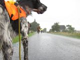 IMG 2645  Det BLIR VED det er VÅÅÅÅDT