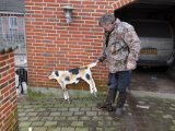DSC00492  Aksels siluet af en 'pølsehund'..den har funkte på nogen as hans hunde. Den siluet jeg derpå lavde til Hap' -> to gange studsede han .. derefter bare total ignorering