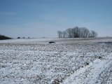 IMG 0071  Hap' strækker rigtig igennem nu (han lavede vist også nogte 'ballade' hverken jeg eller dommer så..så der slipper han for tiltale denne gang)