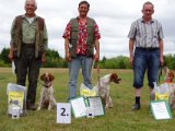 DSC01310  I de engelske hunde fik Breton holdet en 2den plads med hjem, tillykke.. og hunde ser i alle koordinater: frem, til siden .. og op .. sammen kan holde opsyn over det hele