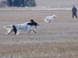 IMGP1262  den kan i hvert fald ikke matche den erenrgi makker har