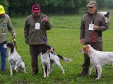 IMGP1416  Jr hanhunde
