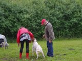 IMGP1434  Ask ses efter