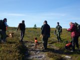 DSC01437  Start på dagane vi er i et ud af 4 terræner
