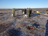 DSC00456  MEN så komemr flot sol og Hap' tumer lidt i ahns røde sprakedragt