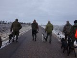 DSC00461  Næste dag..hrrr det blæser koldt..på vej til 'hjørnet'