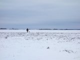 DSC00473  PÅ vej hjem