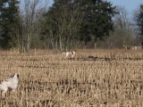 IMG 0010  jo ser såen ud