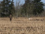 IMG 0013  næsten der