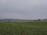 IMGP2184