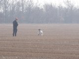 IMGP2235  Paw skal kobles nu