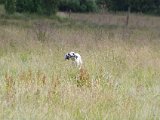 IMGP2578