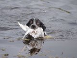 IMGP2727  hjem