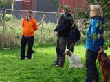 DSC03590  og ikke distraheres af fugle og andre hunde