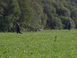 IMGP4210  desværre kommer Max op og ind i det hele (roger over and out ) .. der forsøges at følge op , men det løber ud i sandet