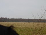 DSC04573  ja der ..