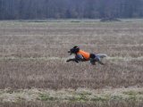 IMGP3285  dækker rigtig fint i starten , men bliver så lidt mere centreret til sidste.... men Cap fik stand (der dog ikke blev udnyttet).. fik også der stoppet Hap' ..