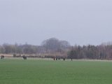 IMGP3445  laaaaang vandring ud for at få vind