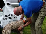 DSC04934  og undervogns vask?