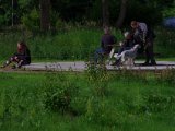 IMGP3698  Apportprøve og racedyst udtagelse går i gang