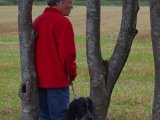 IMGP3832  tør ikek se mens 'med-hund' er i slip
