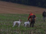 IMGP3773  Hundepasser