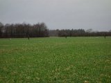 DSC04365