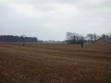 DSC04419  længere ude flot sekundering de unghunde settere..tror det er Allan Tess der sekunderer .. der var dog ikke noget