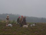 IMGP3750
