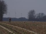 IMGP4530  igen og sekundering - men intet havd jeg kunen se