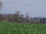 IMGP5860