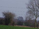 IMGP5862