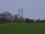 IMGP5892