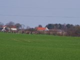 IMGP5893