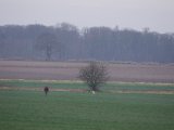 IMGP5922