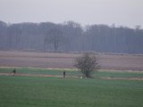 IMGP5925