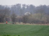 IMGP5937