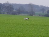IMGP5961