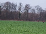 IMGP5975