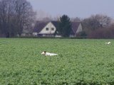 IMGP5986