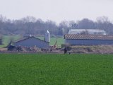IMGP6033